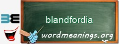 WordMeaning blackboard for blandfordia